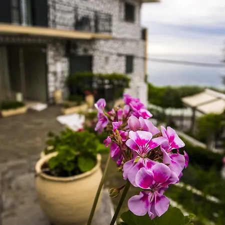 Nisteri Ξενοδοχείο Glifada (Thasos)